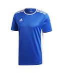 Youth Entrada Jersey - Bold Blue/White