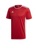 Youth Entrada Jersey - Red/White
