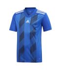 Youth Striped Jersey - Bold Blue/White